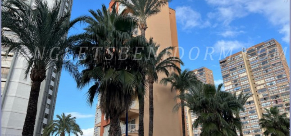 inmocenter benidorminmocenter benidorm - Long lets, long term let ...